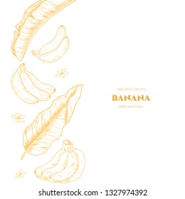 Vector frame with  banana  .Hand drawn. Vintage style