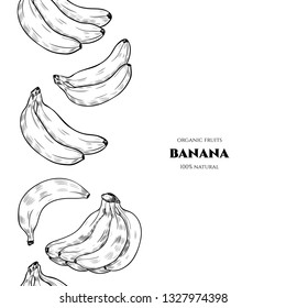 Vector frame with  banana  .Hand drawn. Vintage style