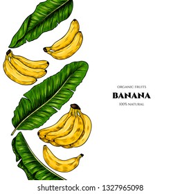 Vector frame with  banana  and tropical leaves .Hand drawn. Vintage style