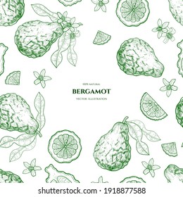 Vector Frame With  Bergamot. Hand Drawn Illustrations. Botanical Drawing.