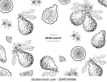 Vector Frame With  Bergamot. Hand Drawn Illustrations. Botanical Drawing.