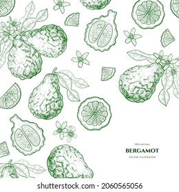 Vector Frame With  Bergamot. Hand Drawn Illustrations. Botanical Drawing.