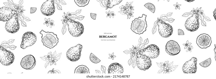 Vector Frame With  Bergamot. Hand Drawn Illustrations. Botanical Drawing.