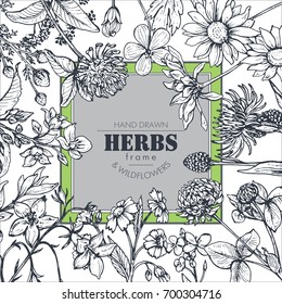 Vector Frame With Black And White Hand Drawn Herb And Wildflower Elements For Wedding Invitations, Birthday Cards, Banners