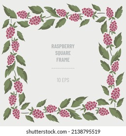 Marco vectorial con moras negras y follaje; composición de borde cuadrado. Perfecto para tarjetas de felicitación, carteles, banners, invitaciones y otros diseños.