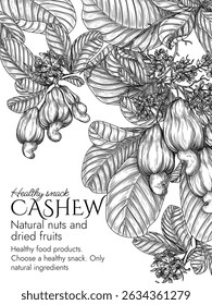 Vector frame of a blooming cashew garden in engraving style. Graphic banner with nuts on a branch. Template with growing a healthy snack