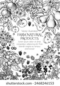 Vector frame blooming garden with harvest. Cherries, grape, apples, rose hips, raspberries, blackberries, cloudberries, lingonberries, blueberries, pear, currant, apricot in engraving style