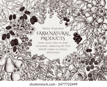 Vector frame blooming garden with harvest. Cherries, grape, apples, raspberries, blackberrie, pear, currant, apricot, mulberry  in engraving style
