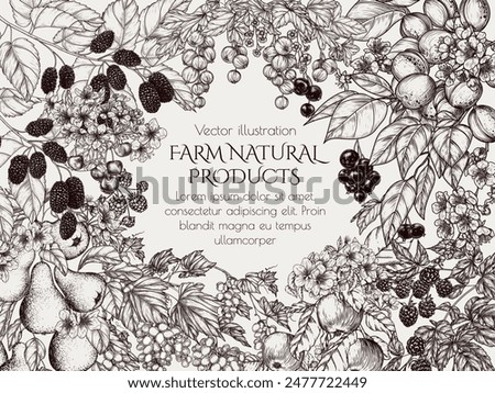 Vector frame blooming garden with harvest. Cherries, grape, apples, raspberries, blackberrie, pear, currant, apricot, mulberry  in engraving style