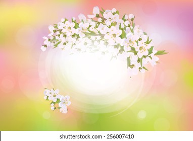 Vector frame blossoming cherry tree, spring background.