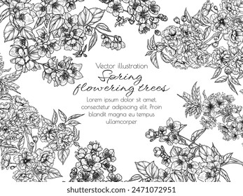 Vector frame of blossoming trees in engraving style. Jasmine, sakura, apricot and cherry blossoms