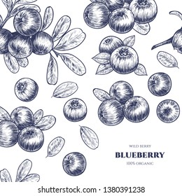 Vector frame with blueberry. Sketch vector  food illustration. Vintage style