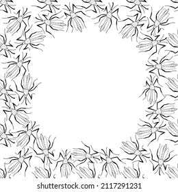 Vector frame, border from black contoured small mosquitoes, moths or beetles in doodle style. Simple background, decoration with insects, bloodsuckers, pests