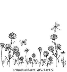 Vector frame, border with field of clover, chamomile, chicory with butterfly. Hand painted flower. Graphic clip art isolated on background. Botanical and wedding illustration. For designers, invitatio