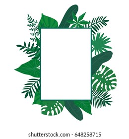 a vector frame or border with tropical leaves; blank to place any text or logo; great for cards or posters