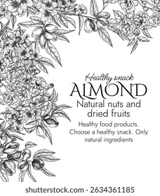 Vector frame with a branch of blooming almonds in engraving style. Graphic banner with nuts on a tree. Template with the cultivation of a healthy snack. Decorative almond blossom