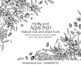 Vector frame with a branch of blooming almonds in engraving style. Graphic banner with nuts on a tree. Template with the cultivation of a healthy snack. Nuts in shell and in cut form, almond flakes