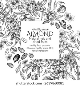 Vector frame with a branch of blooming almonds in engraving style. Graphic banner with nuts on a tree. Template with the cultivation of a healthy snack. Nuts in shell and in cut form, almond flakes