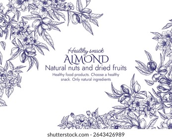 Vector frame with a branch of blooming almonds in engraving style. Graphic banner with nuts on a tree. Template with the cultivation of a healthy snack. Decorative almond blossom