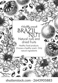 Vector frame with a branch of blooming Brazil nut in engraving style. Graphic banner with nuts on a tree. Template with the cultivation of a healthy snack. Nuts in shell and in cut