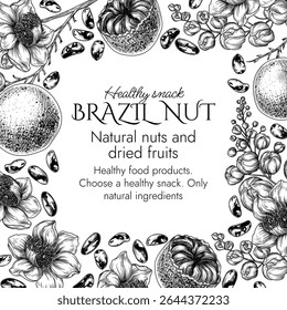  Vector frame with a branch of blooming Brazil nut in engraving style. Graphic banner with nuts on a tree. Template with the healthy snack. Nuts in shell and in cut