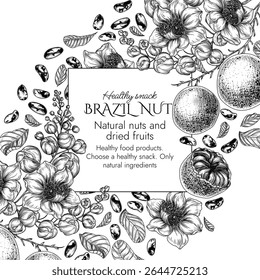  Vector frame with a branch of blooming Brazil nut in engraving style. Graphic banner with nuts on a tree. Template with the healthy snack. Nuts in shell and in cut