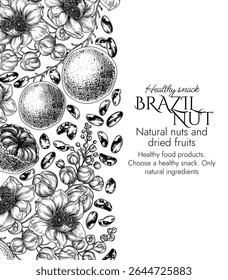 Vector frame with a branch of blooming Brazil nut in engraving style. Graphic banner with nuts on a tree. Template with the healthy snack. Nuts in shell and in cut