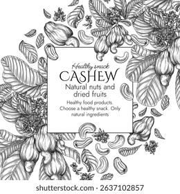 Vector frame with a branch of blooming cashew in engraving style. Graphic banner with nuts on a tree. Template with the cultivation of a healthy snack. Nuts in shell and in cut. Cashew fruit
