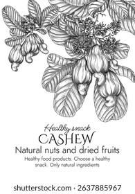 Vector frame with a branch of blooming cashew in engraving style. Graphic banner with nuts on a tree. Template with the cultivation of a healthy snack. Decorative almond blossom