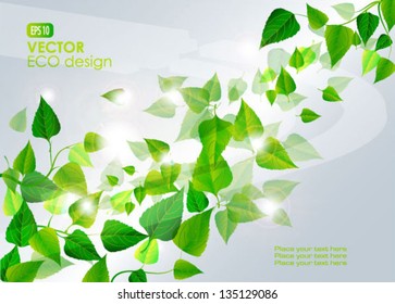 Vector frame .Branch with fresh green leaves