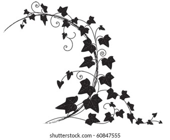 Vector Frame With Branch Of Ivy