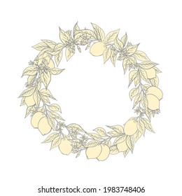 Vector frame with branches, fruits and flowers of citrus plants. Hand drawn lemons