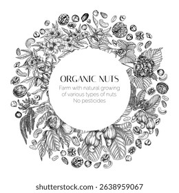 Vector frame with branches of nuts. Card template with almonds, hazelnuts, cashews, walnuts in engraving style. Growing superfood	