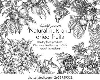 Vector frame with branches of nuts. Card template with almonds, hazelnuts, cashews, walnuts in engraving style. Growing superfood
