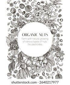 Vector frame with branches of nuts. Card template with almonds, hazelnuts, cashews, walnuts in engraving style. Growing superfood	