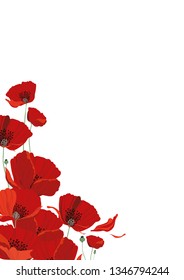 vector frame of bright beautiful flowers for page design, invitations and cards and various prints
