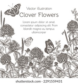 Tapón de arbusto de marco vectorial y mariposas en estilo grabado
