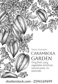 Vector frame with carambola tree and slice, piece, half of fruit in engraving style. Grocery store brochure. Fresh farm fruits. Organic farming. Nutrition banner, healthy eating