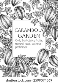 Vector frame with carambola tree and slice, piece, half of fruit in engraving style. Grocery store brochure. Fresh farm fruits. Organic farming. Nutrition banner, healthy eating