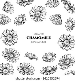 Vector frame with chamomile. Hand drawn. Vintage style