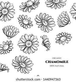 Vector frame with chamomile. Hand drawn. Vintage style