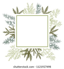 Vector frame with Christmas plant. Hand-drawn ilustration.