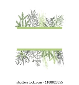 Vector frame with Christmas plant. Hand-drawn ilustration.
