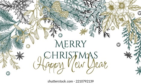 Vector frame with christmas plants in engraving style. Christmas tree branch with cones, juniper, pine, holly, thuja, mistletoe, hellebore, dogwood