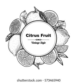 Vector frame with citrus fruit. Hand drawn. Vintage style