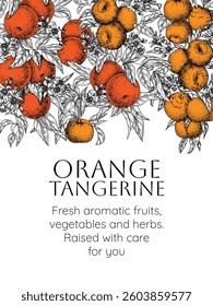 Vector frame of citrus garden with oranges and tangerines. Fruits, leaves and flowers in engraving style	