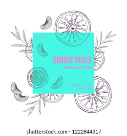 Vector frame with citrus sliced oranges and herbal leaves Hand drawn isolated elements Vintage style Trendy colors