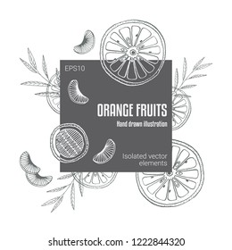 Vector frame with citrus sliced oranges and herbal leaves Hand drawn isolated elements Vintage style Trendy colors