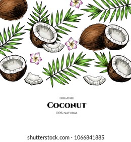 Vector frame with coconuts and tropical leaves .Hand drawn. Vintage style