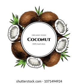 Vector frame with coconuts and tropical leaves .Hand drawn. Vintage style